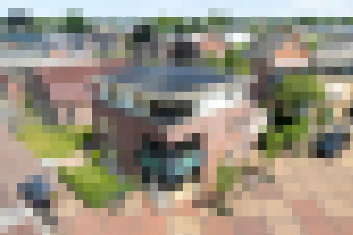 Burg.Backxlaan 306 Nieuwleusen thumbnail 49