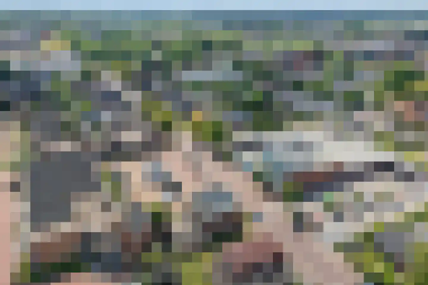 Burg.Backxlaan 306 Nieuwleusen thumbnail 51