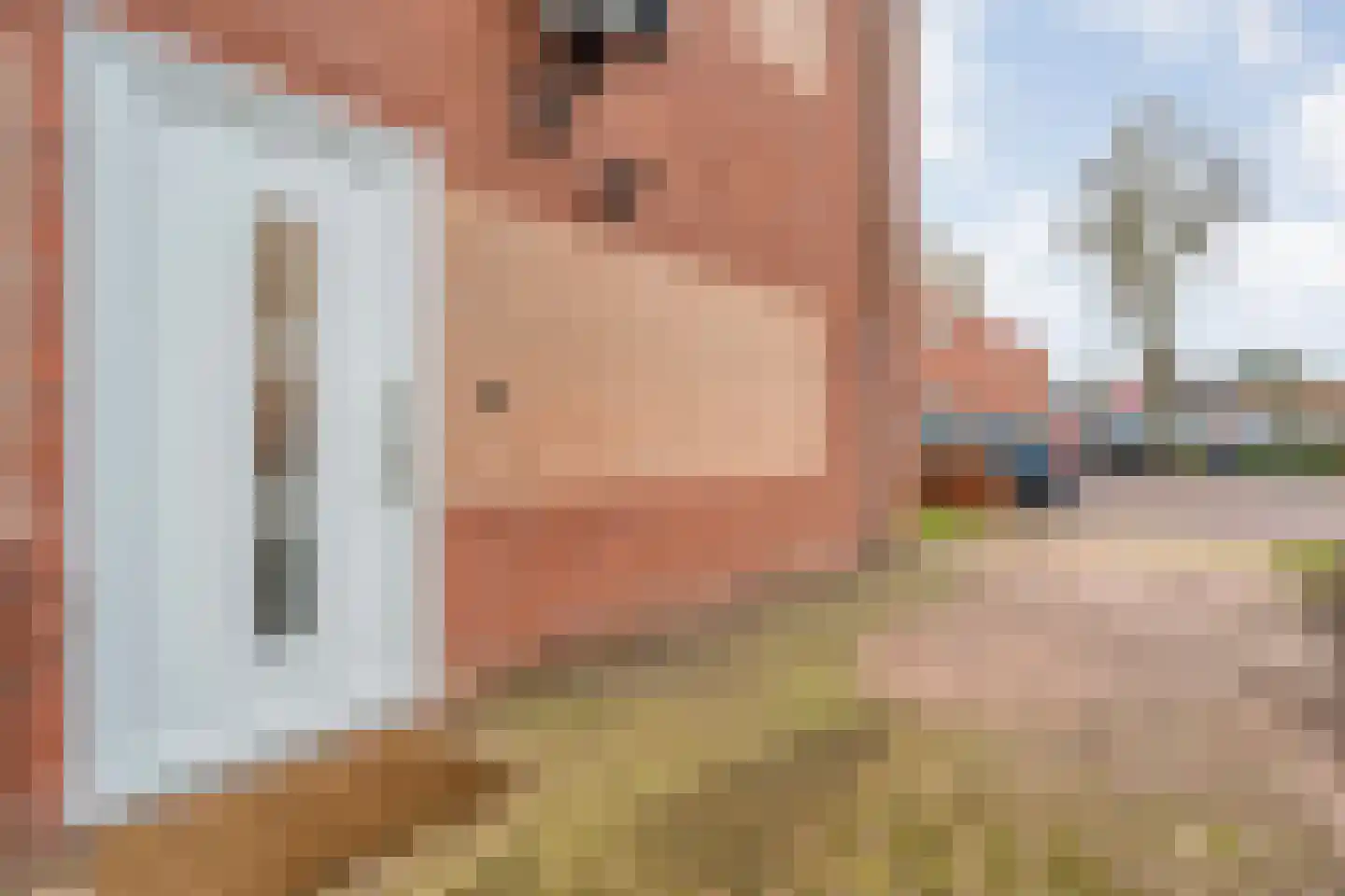 Burg.Backxlaan 306 Nieuwleusen thumbnail 6