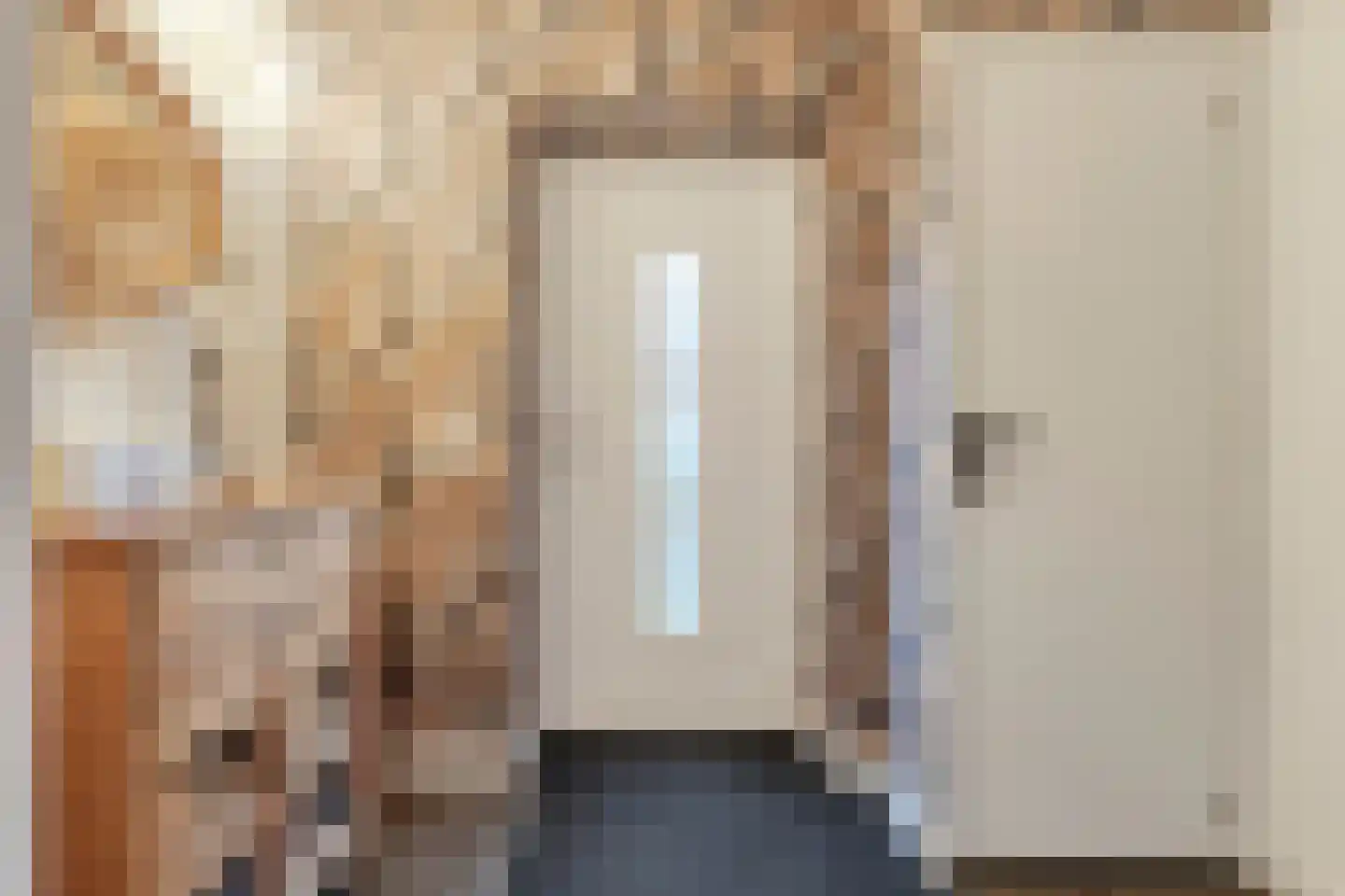 Burg.Backxlaan 306 Nieuwleusen thumbnail 7