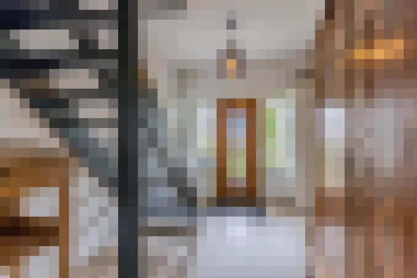 Burg.Backxlaan 323 Nieuwleusen thumbnail 11