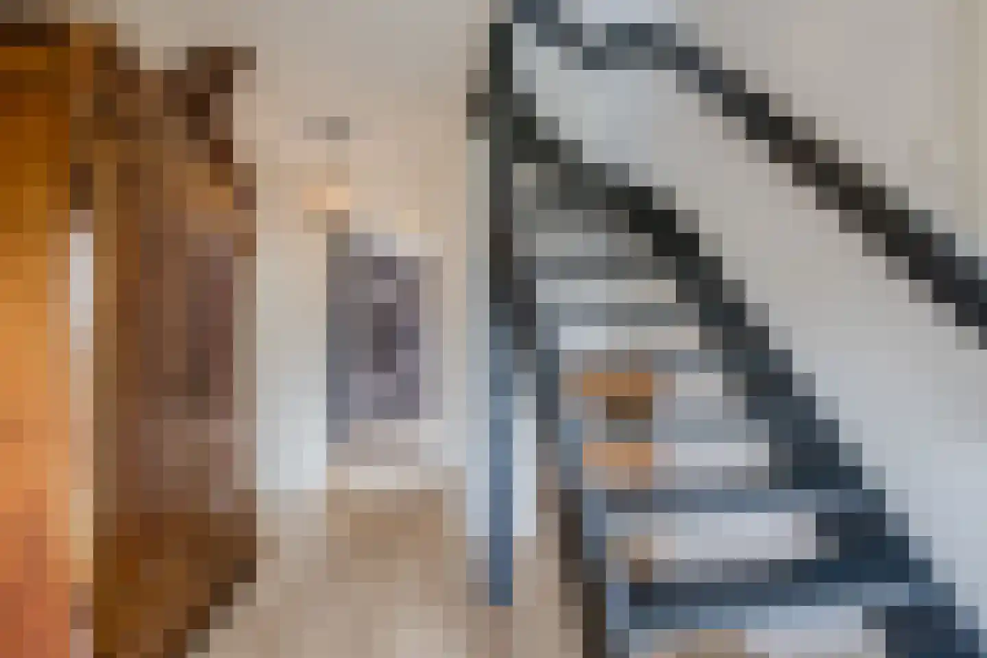Burg.Backxlaan 323 Nieuwleusen thumbnail 12