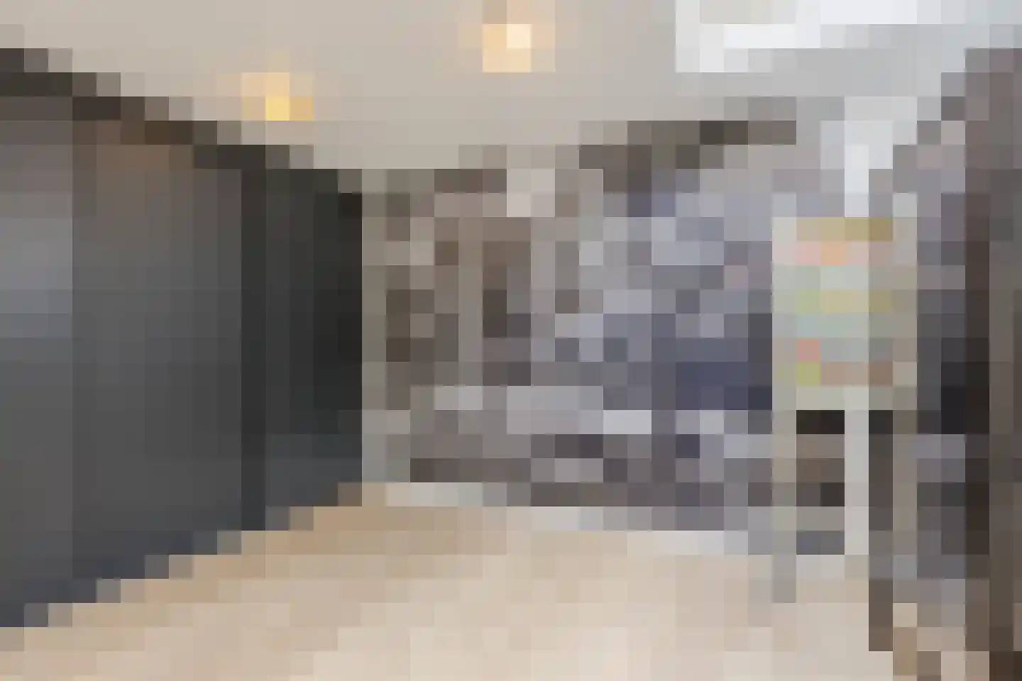 Burg.Backxlaan 323 Nieuwleusen thumbnail 13
