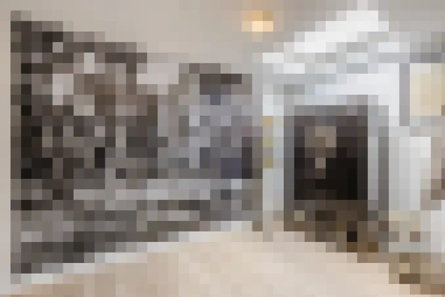 Burg.Backxlaan 323 Nieuwleusen thumbnail 14