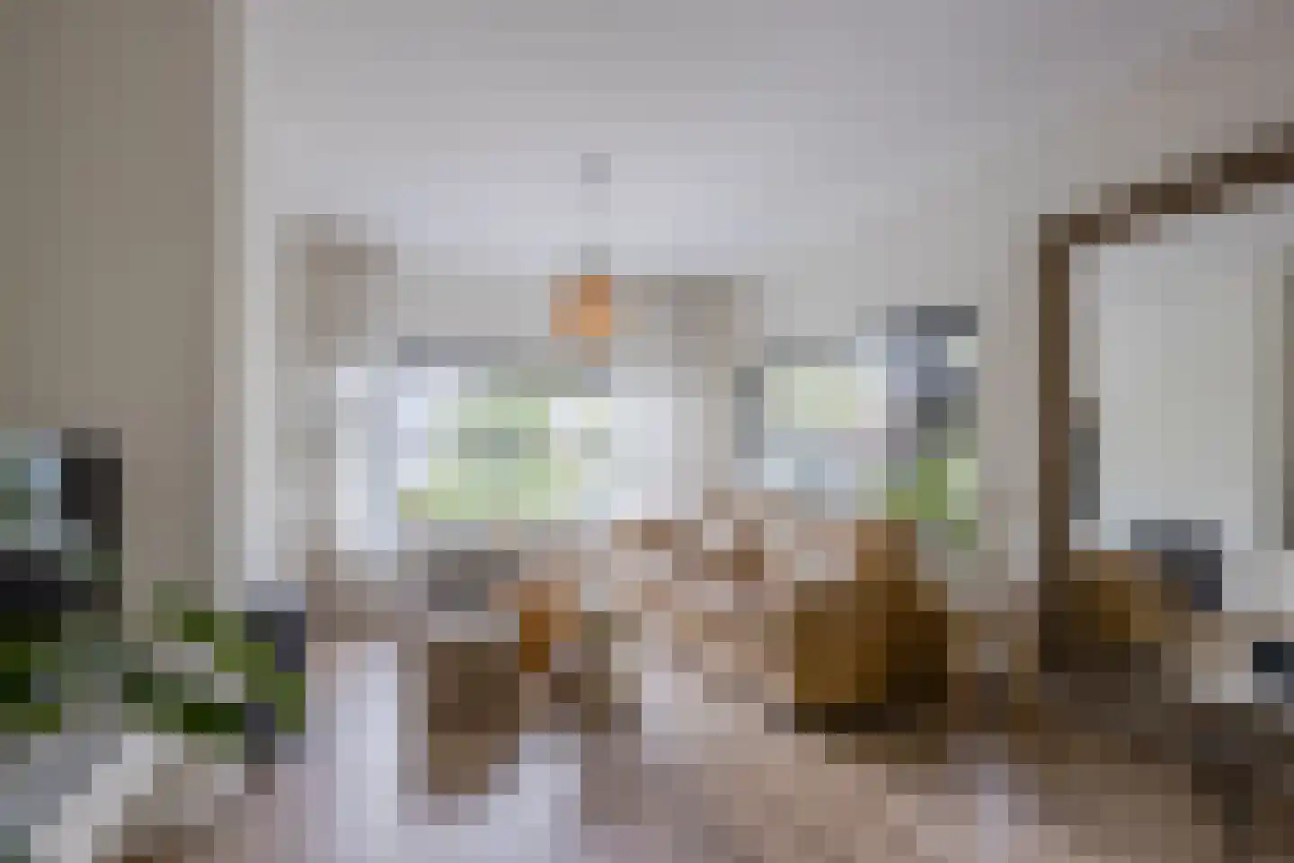 Burg.Backxlaan 323 Nieuwleusen thumbnail 16