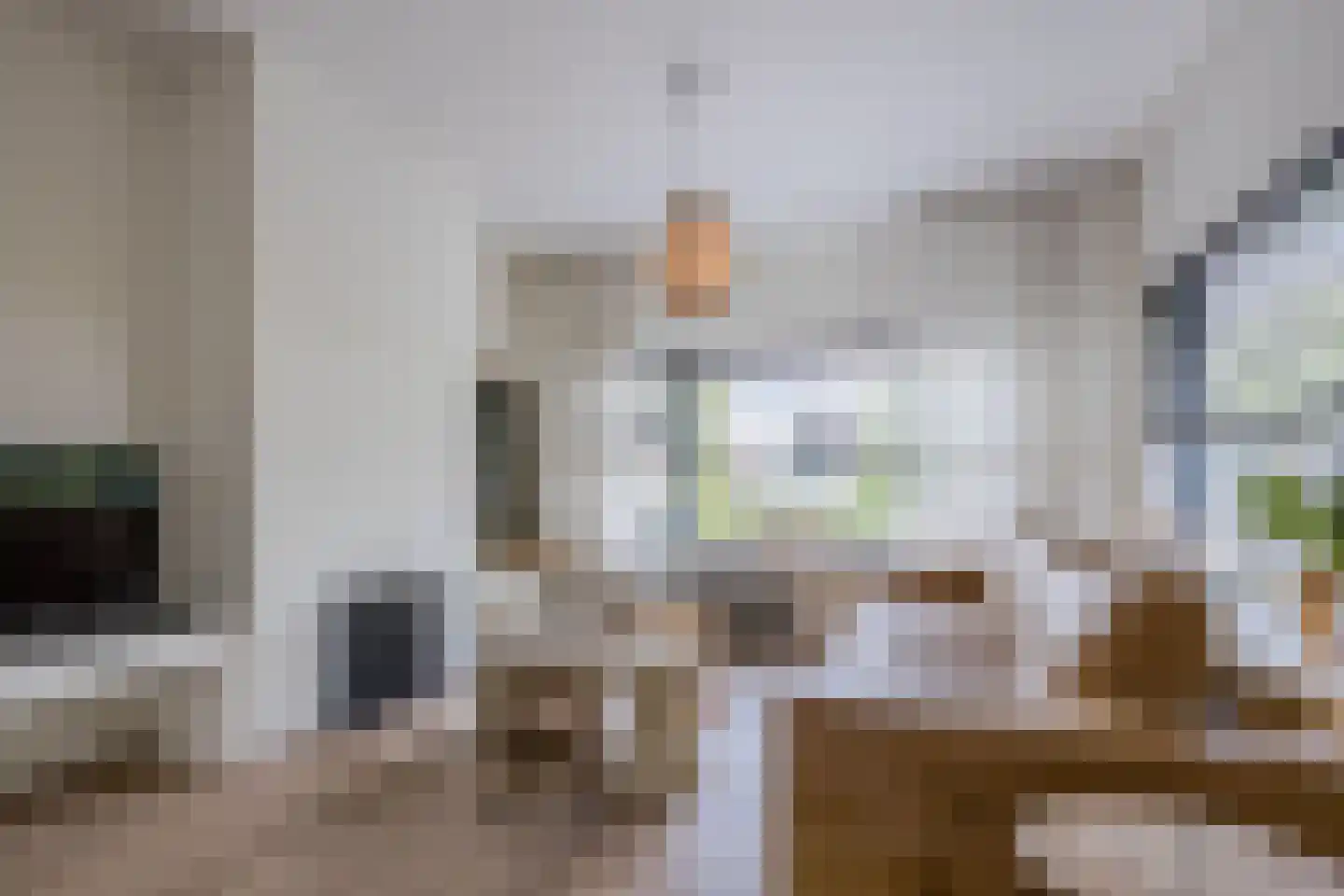 Burg.Backxlaan 323 Nieuwleusen thumbnail 17