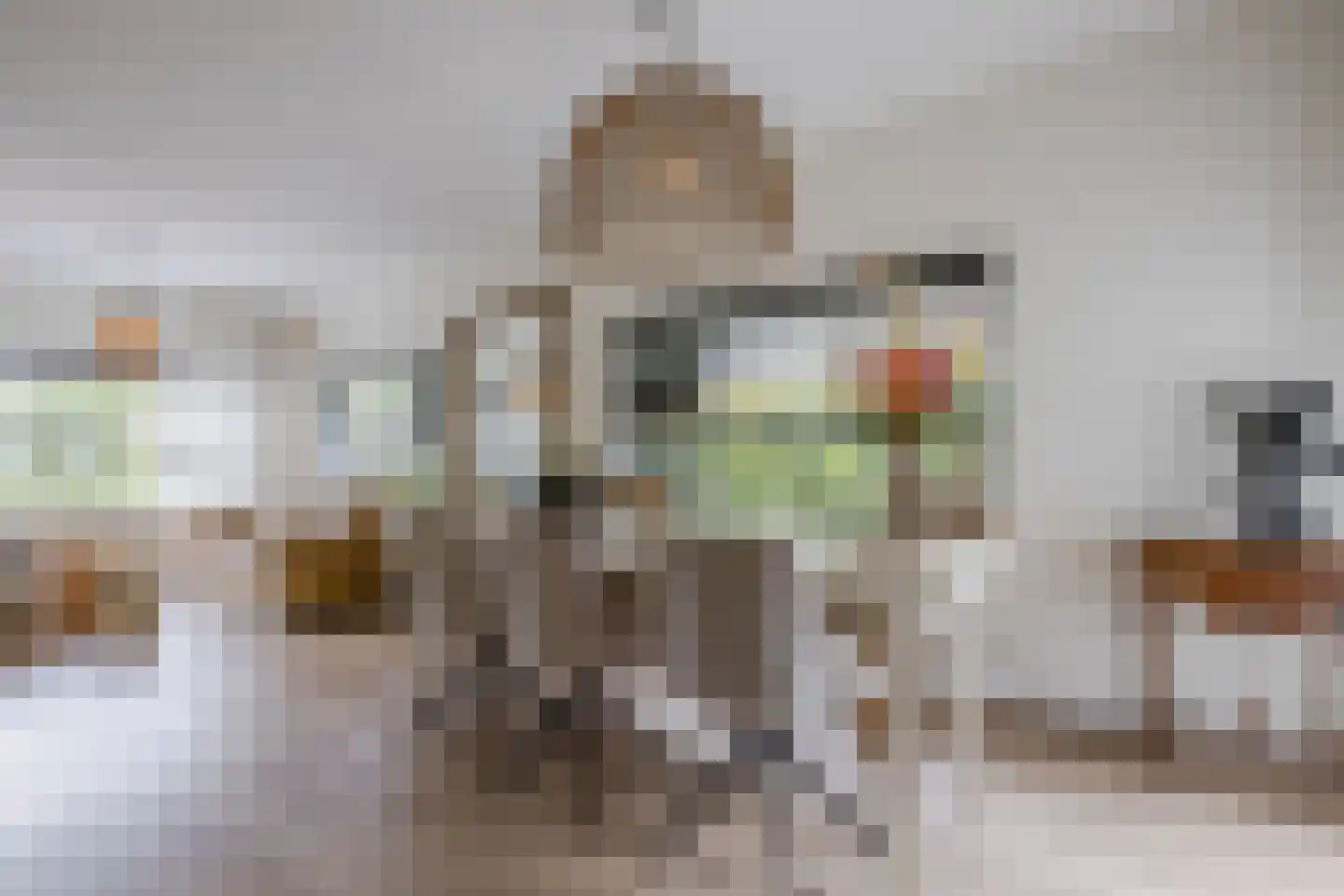 Burg.Backxlaan 323 Nieuwleusen thumbnail 18