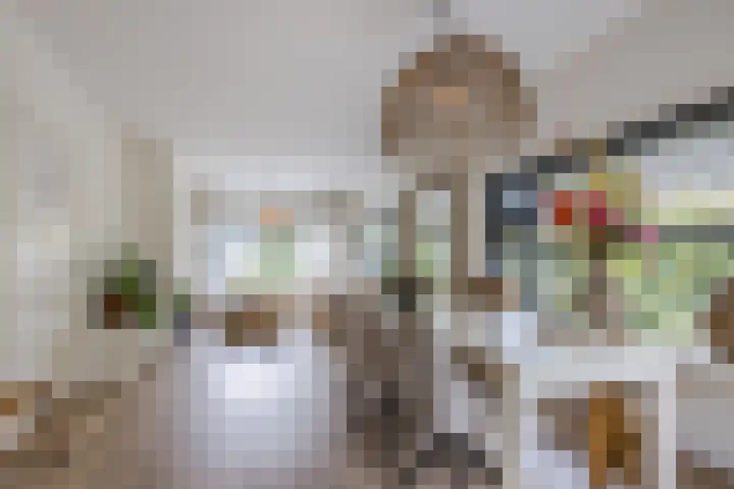 Burg.Backxlaan 323 Nieuwleusen thumbnail 19