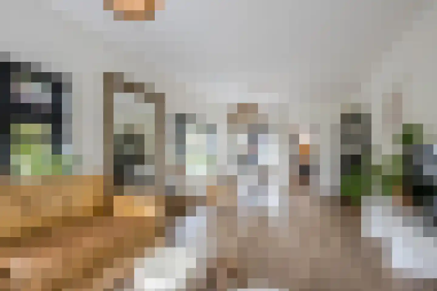 Burg.Backxlaan 323 Nieuwleusen thumbnail 20
