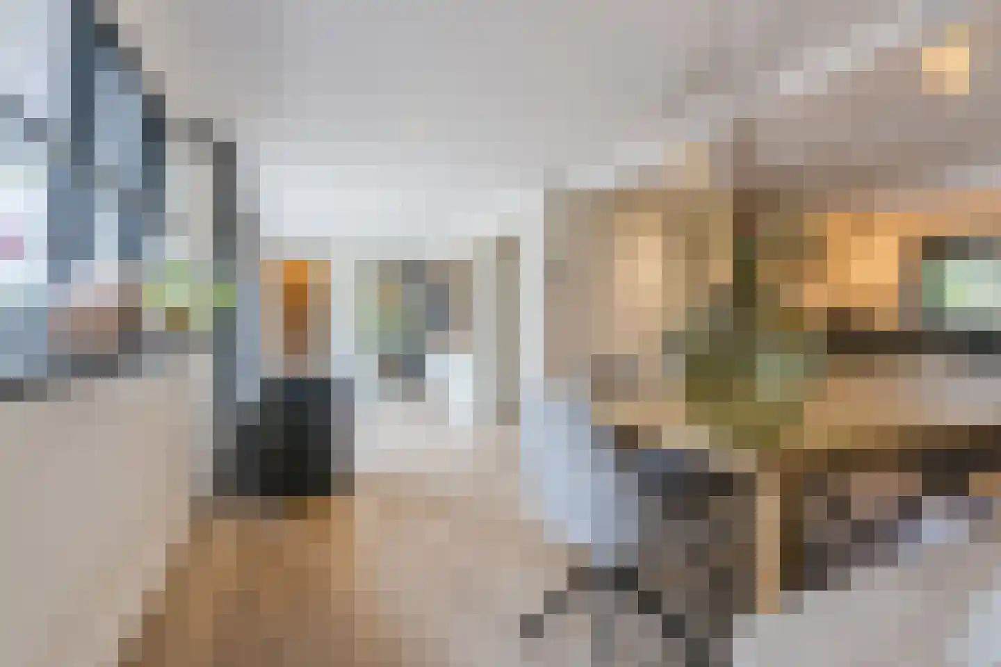 Burg.Backxlaan 323 Nieuwleusen thumbnail 21