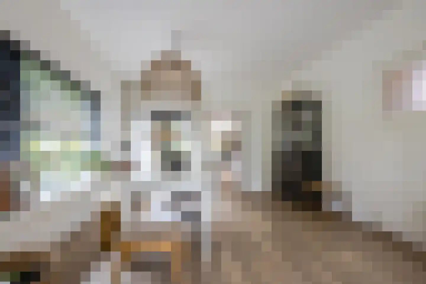 Burg.Backxlaan 323 Nieuwleusen thumbnail 22