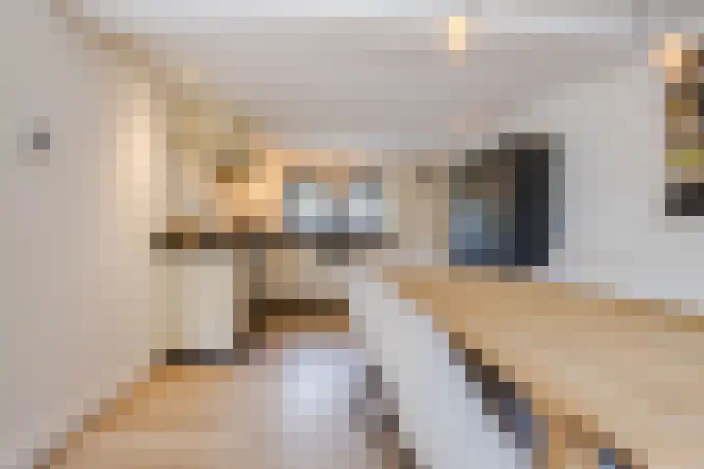 Burg.Backxlaan 323 Nieuwleusen thumbnail 23