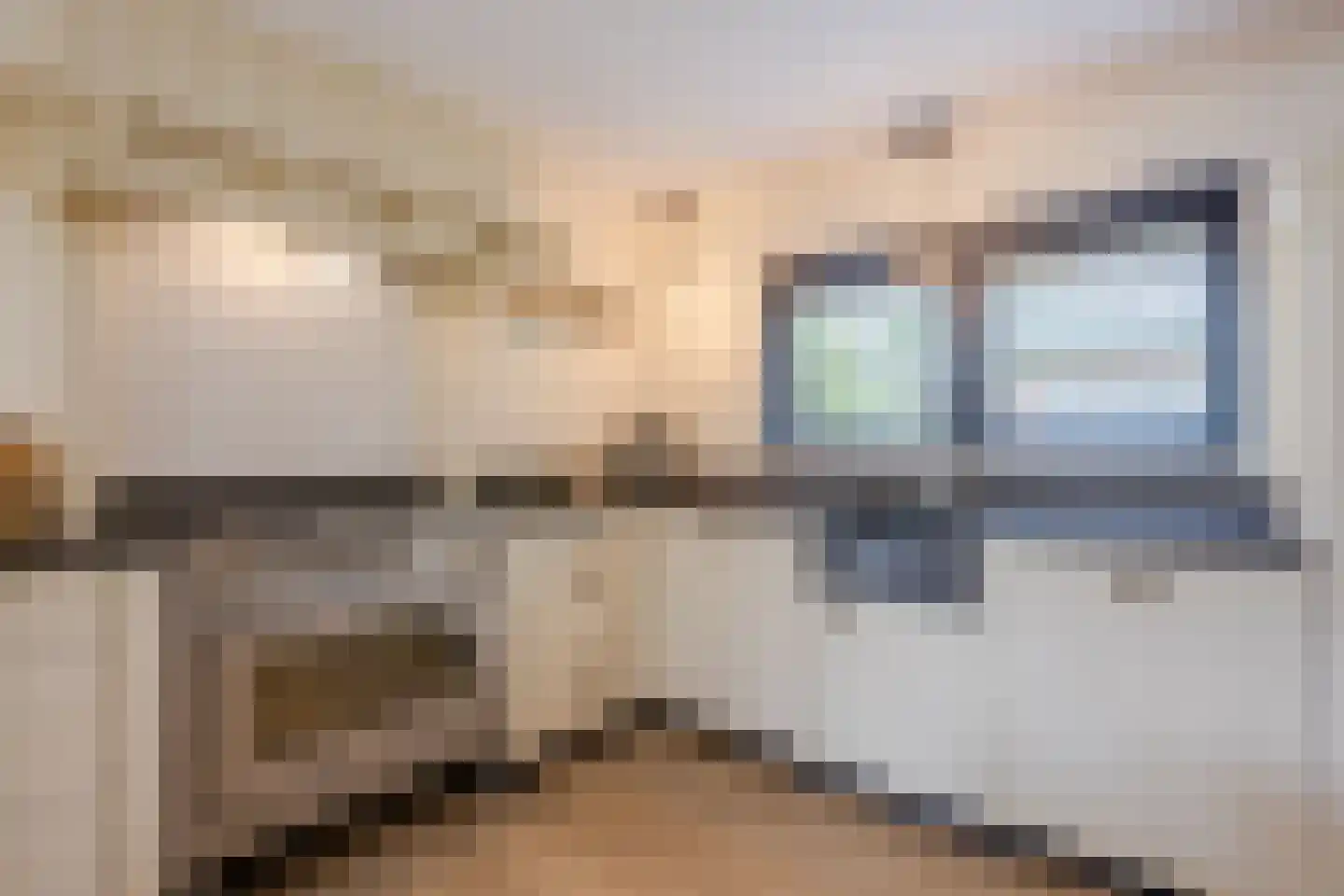 Burg.Backxlaan 323 Nieuwleusen thumbnail 24