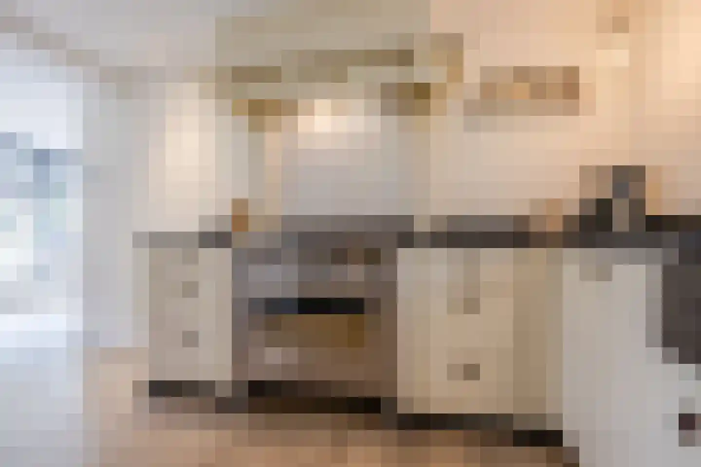 Burg.Backxlaan 323 Nieuwleusen thumbnail 25