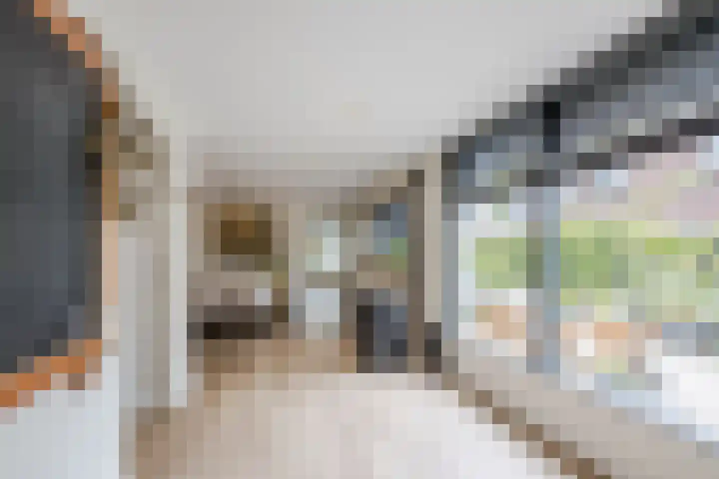 Burg.Backxlaan 323 Nieuwleusen thumbnail 27