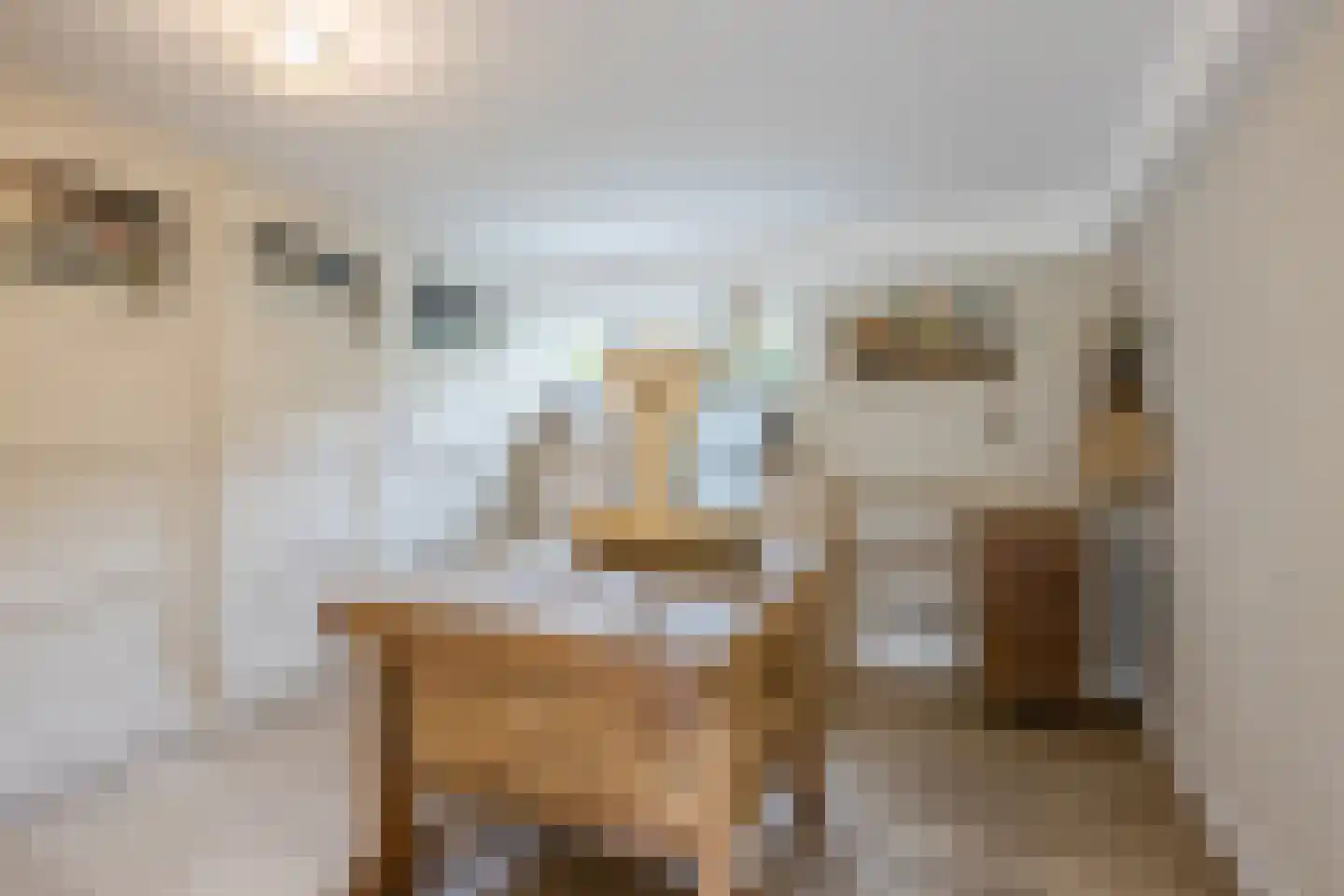 Burg.Backxlaan 323 Nieuwleusen thumbnail 28
