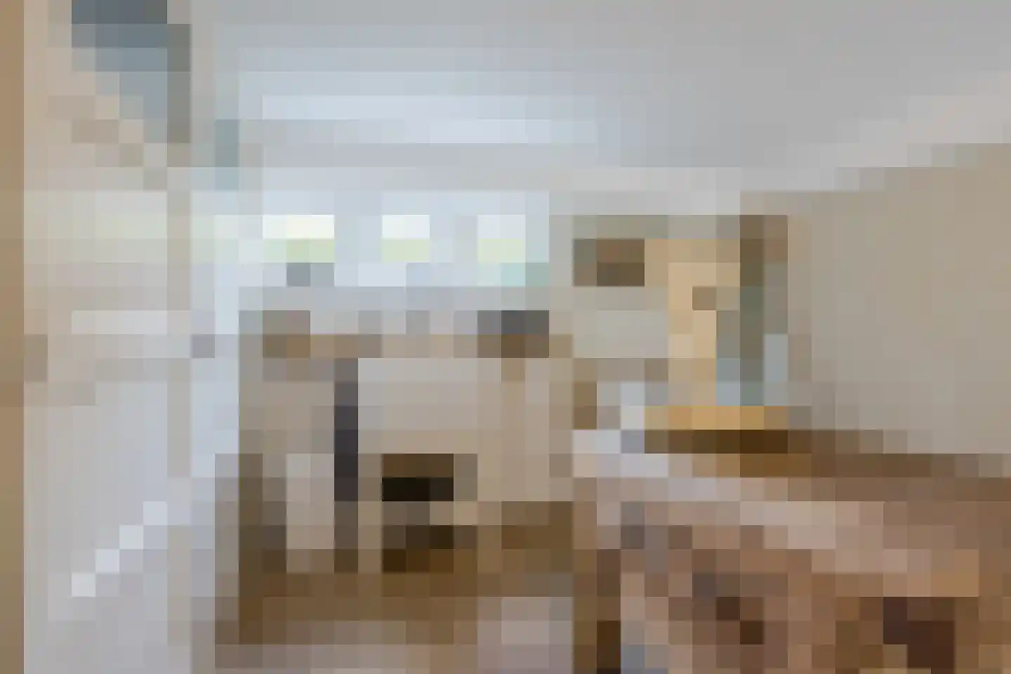 Burg.Backxlaan 323 Nieuwleusen thumbnail 29