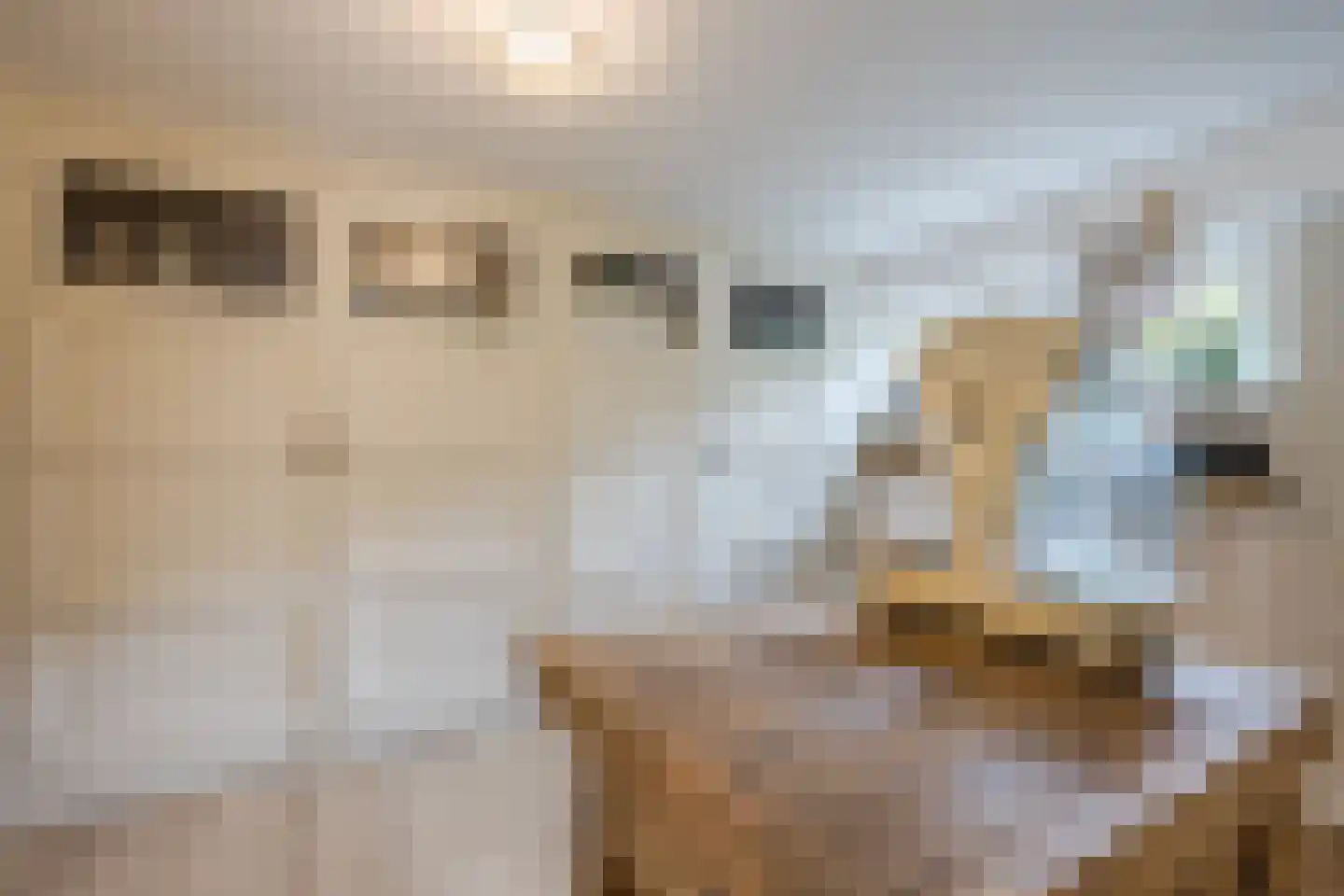 Burg.Backxlaan 323 Nieuwleusen thumbnail 30