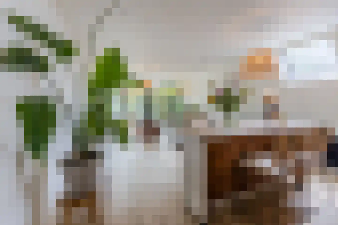 Burg.Backxlaan 323 Nieuwleusen thumbnail 32