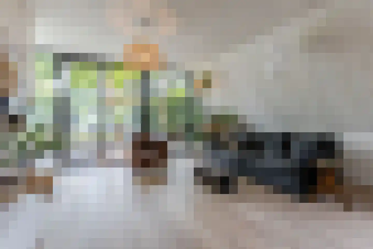 Burg.Backxlaan 323 Nieuwleusen thumbnail 33