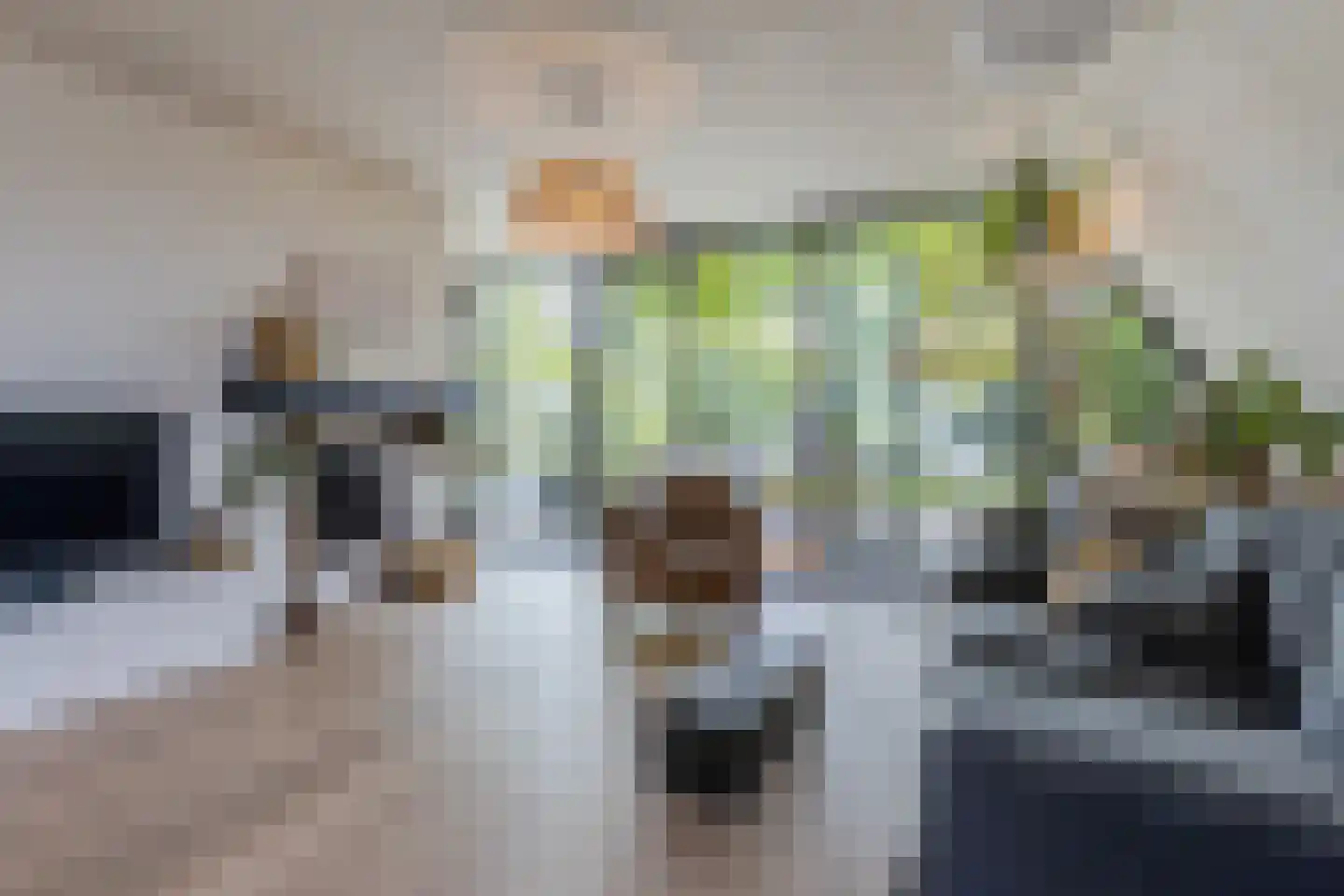 Burg.Backxlaan 323 Nieuwleusen thumbnail 34