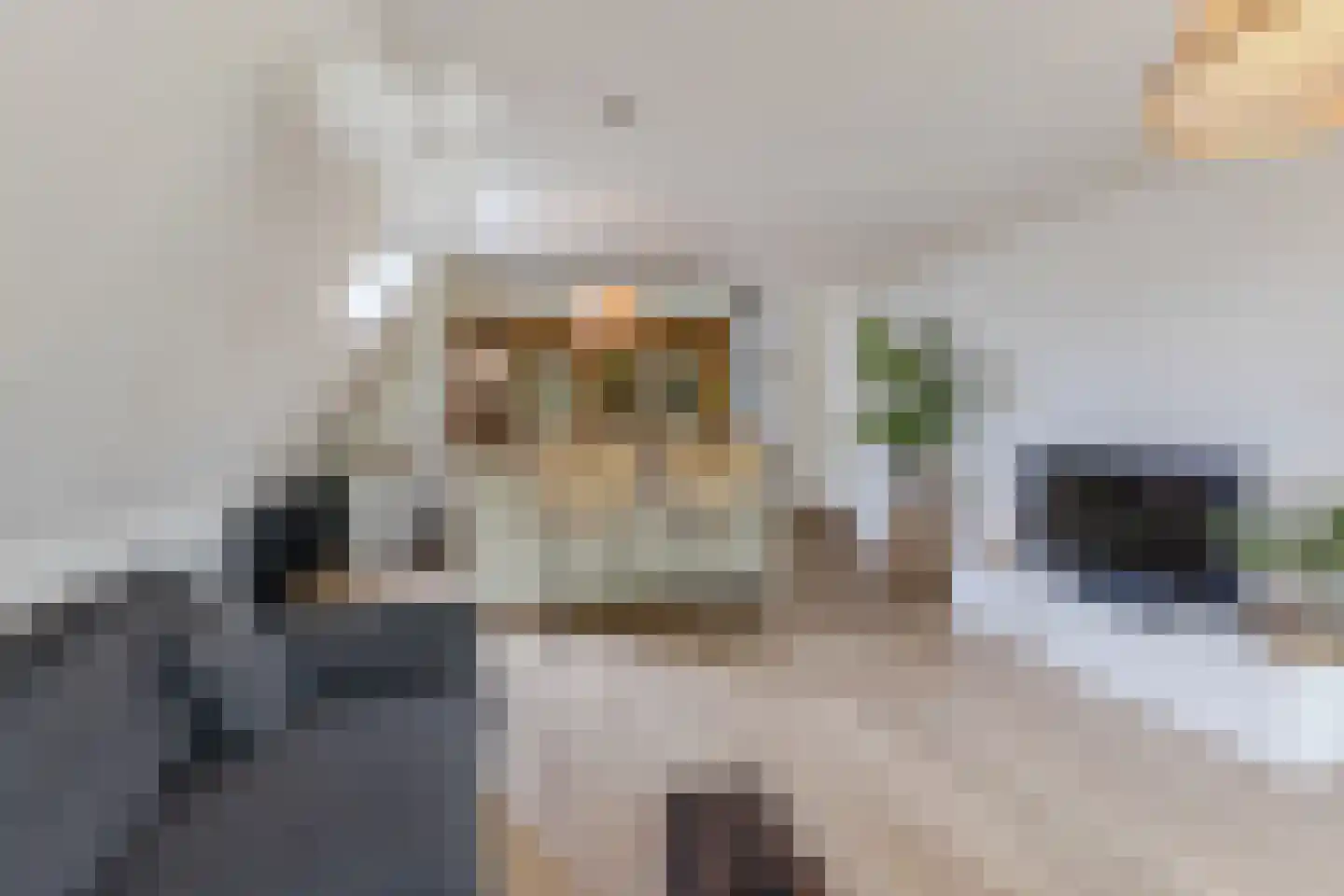 Burg.Backxlaan 323 Nieuwleusen thumbnail 36