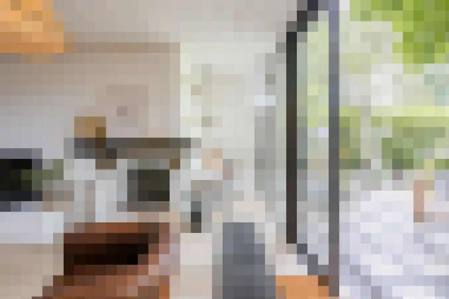 Burg.Backxlaan 323 Nieuwleusen thumbnail 37