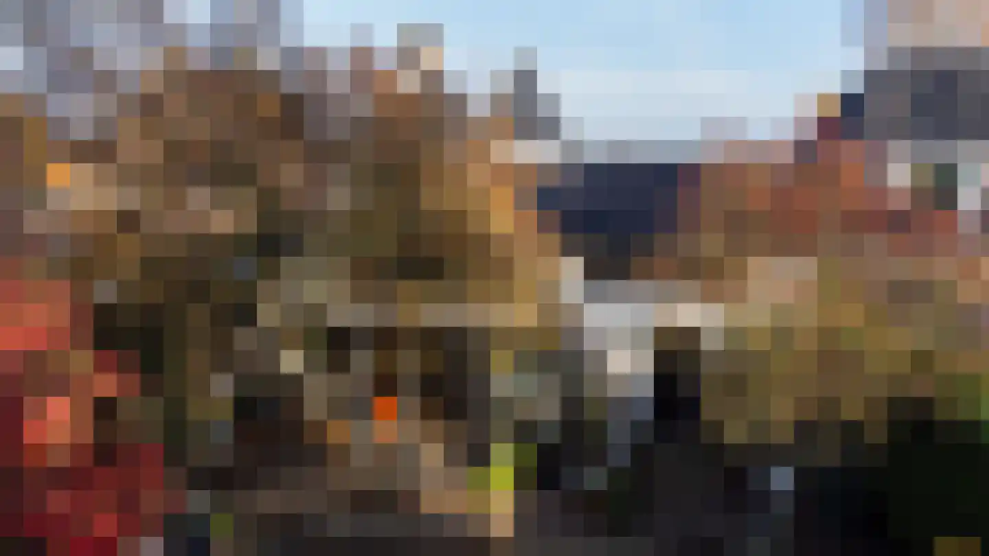 Burg.Backxlaan 323 Nieuwleusen thumbnail 4