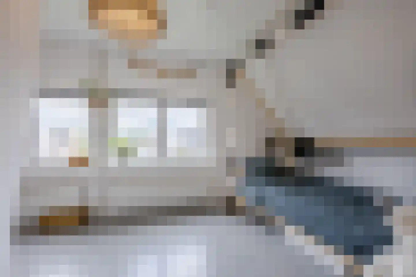 Burg.Backxlaan 323 Nieuwleusen thumbnail 42