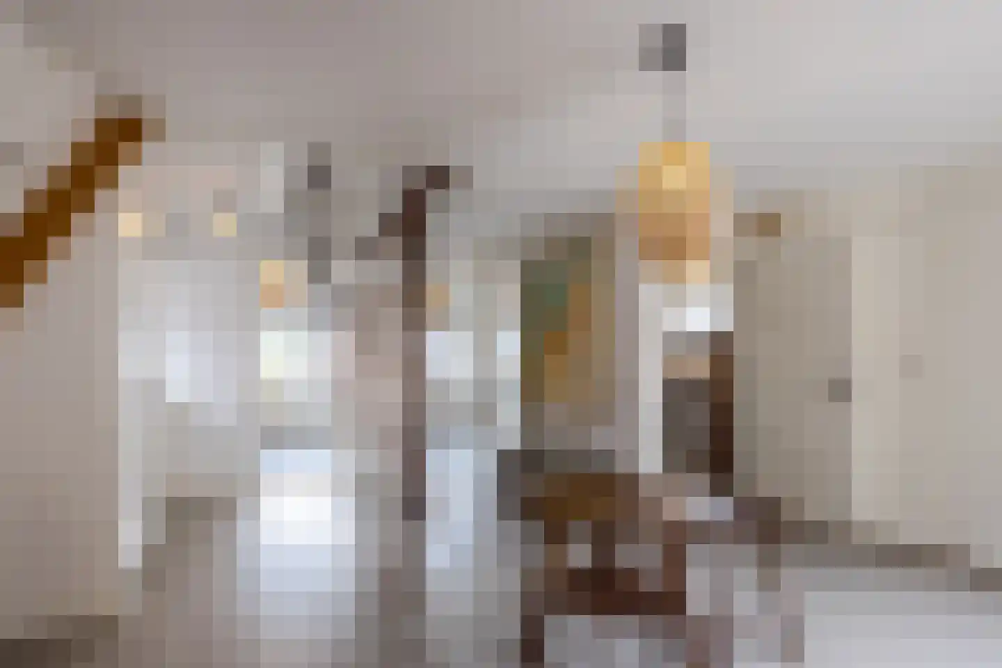Burg.Backxlaan 323 Nieuwleusen thumbnail 44