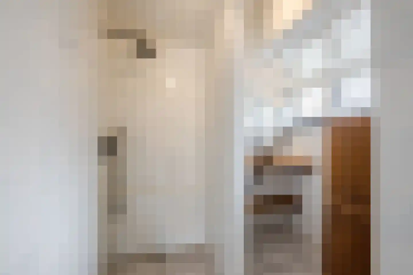 Burg.Backxlaan 323 Nieuwleusen thumbnail 45