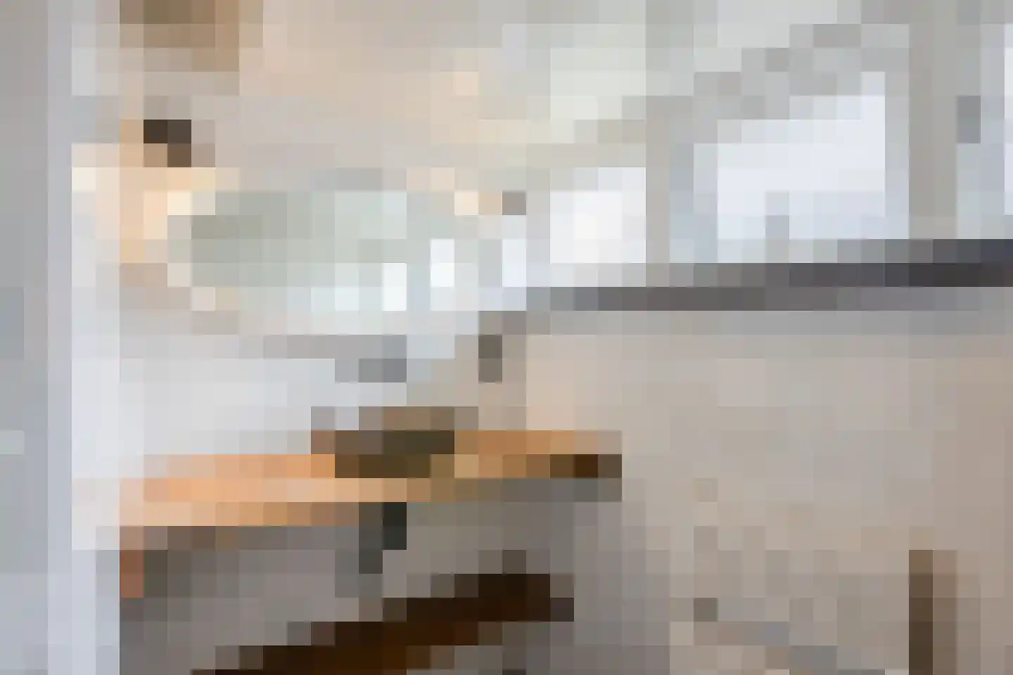 Burg.Backxlaan 323 Nieuwleusen thumbnail 46
