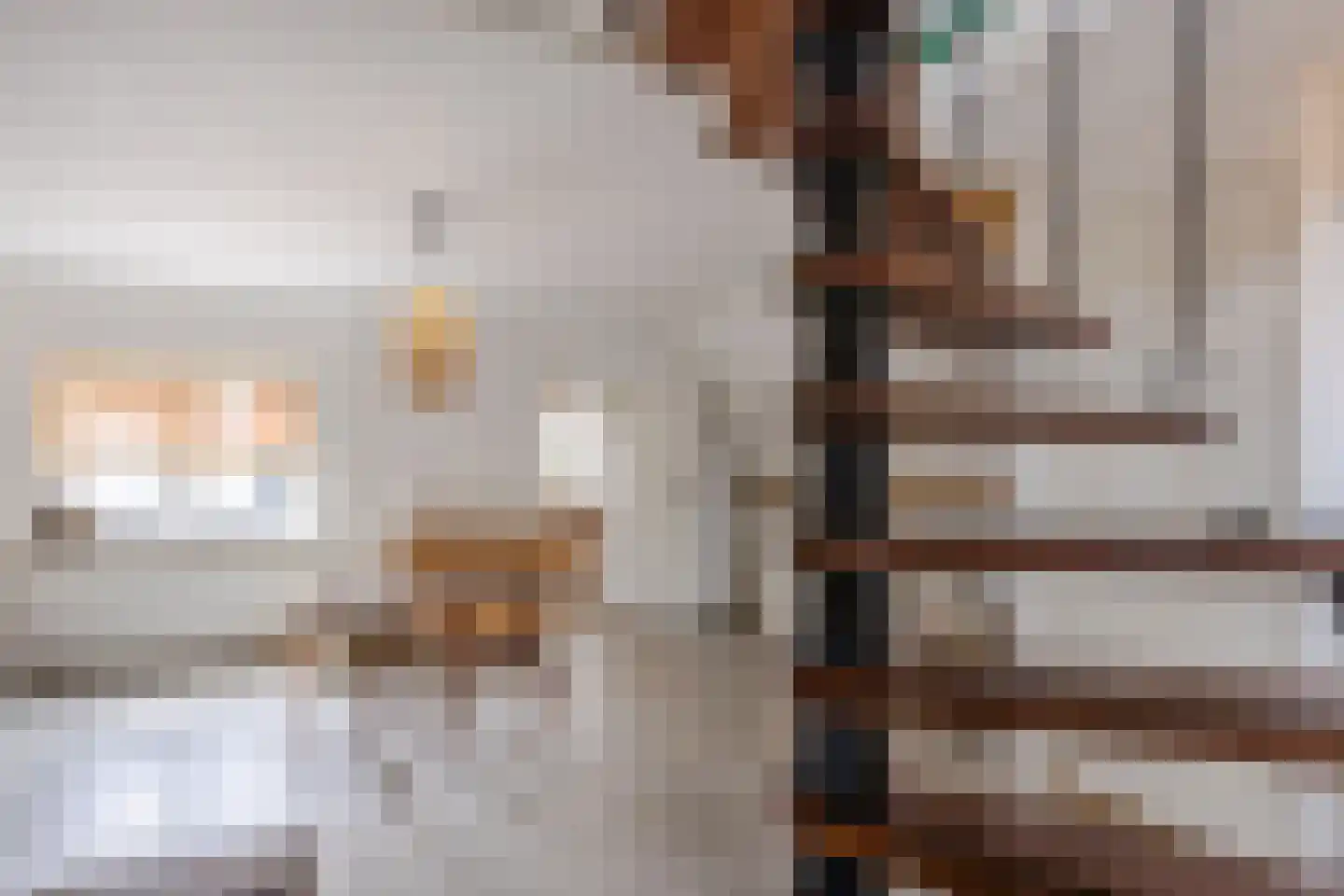 Burg.Backxlaan 323 Nieuwleusen thumbnail 47