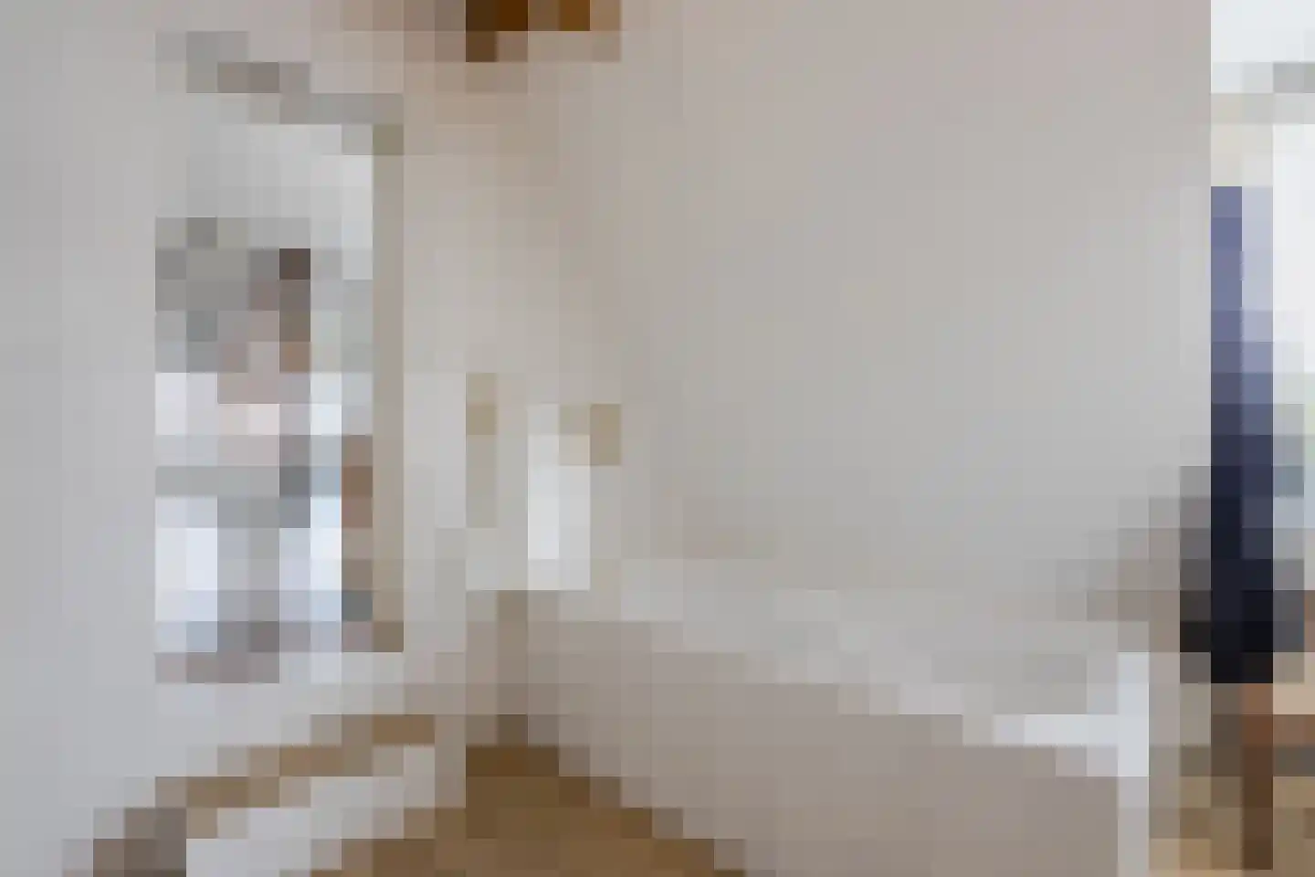 Burg.Backxlaan 323 Nieuwleusen thumbnail 48