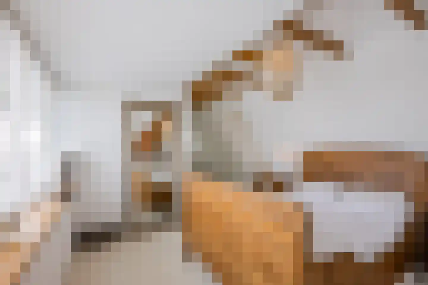 Burg.Backxlaan 323 Nieuwleusen thumbnail 50