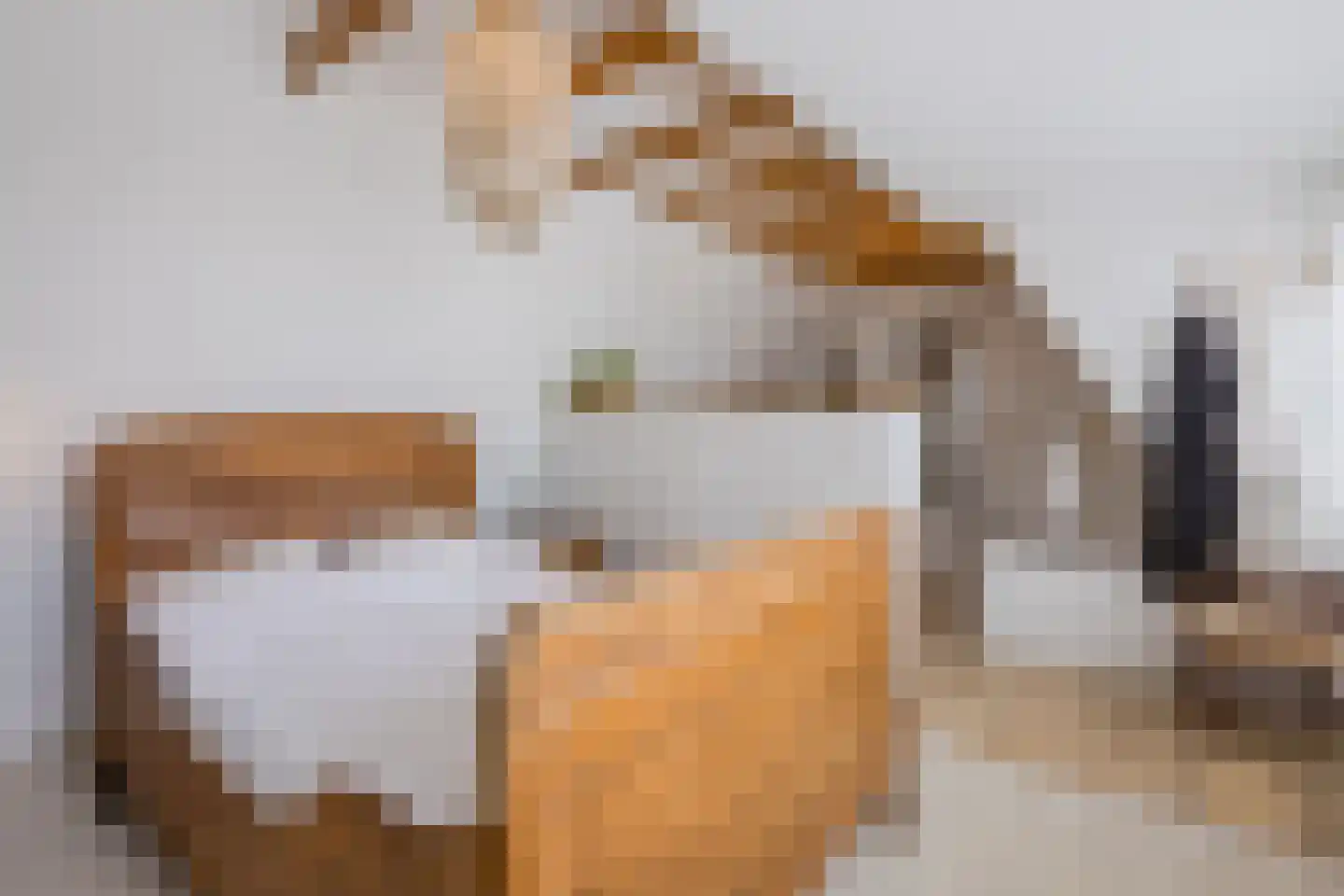 Burg.Backxlaan 323 Nieuwleusen thumbnail 51