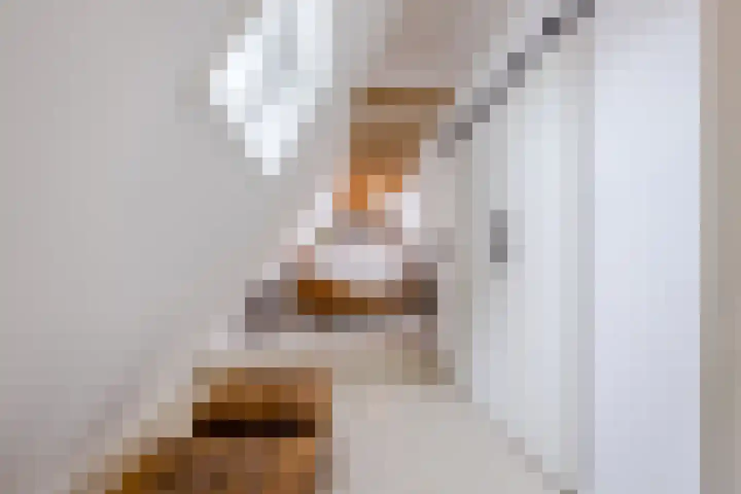 Burg.Backxlaan 323 Nieuwleusen thumbnail 52