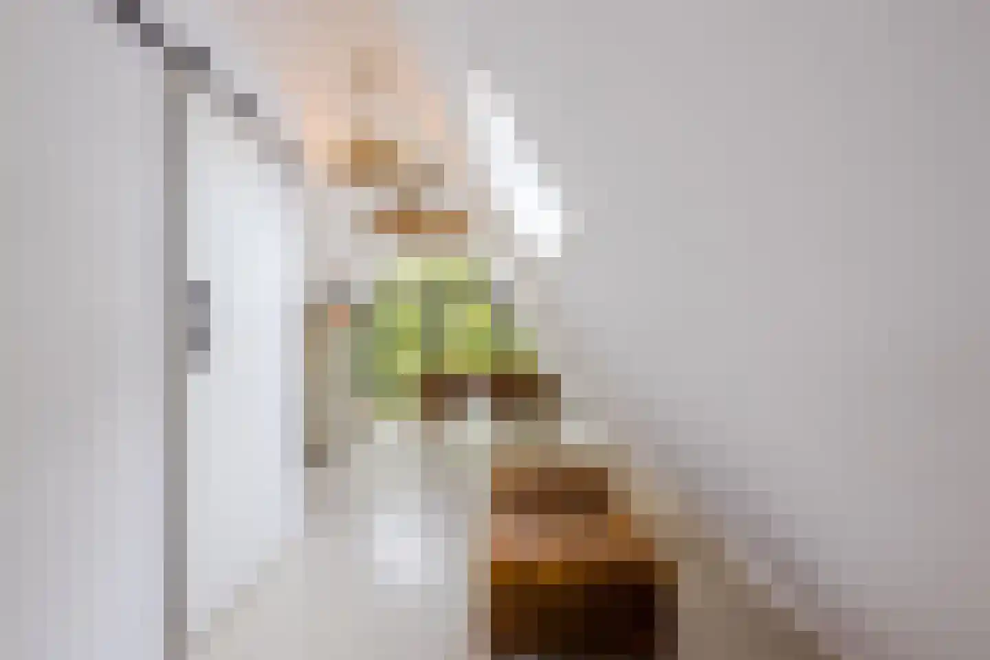 Burg.Backxlaan 323 Nieuwleusen thumbnail 53
