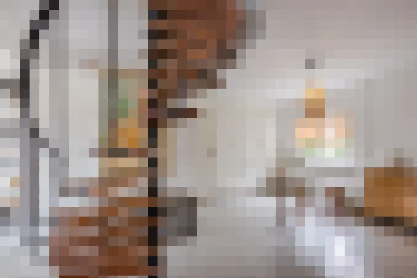 Burg.Backxlaan 323 Nieuwleusen thumbnail 55