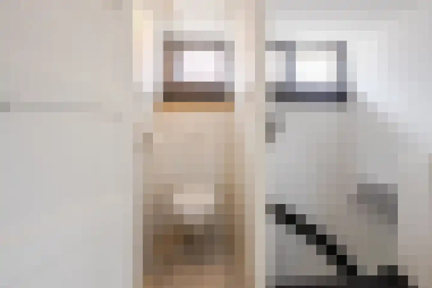 Burg.Backxlaan 323 Nieuwleusen thumbnail 56
