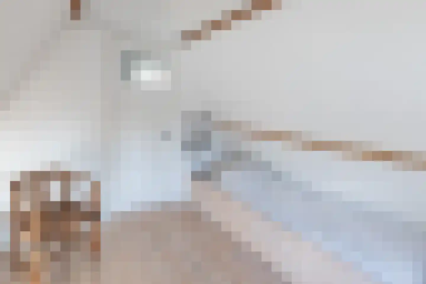 Burg.Backxlaan 323 Nieuwleusen thumbnail 58