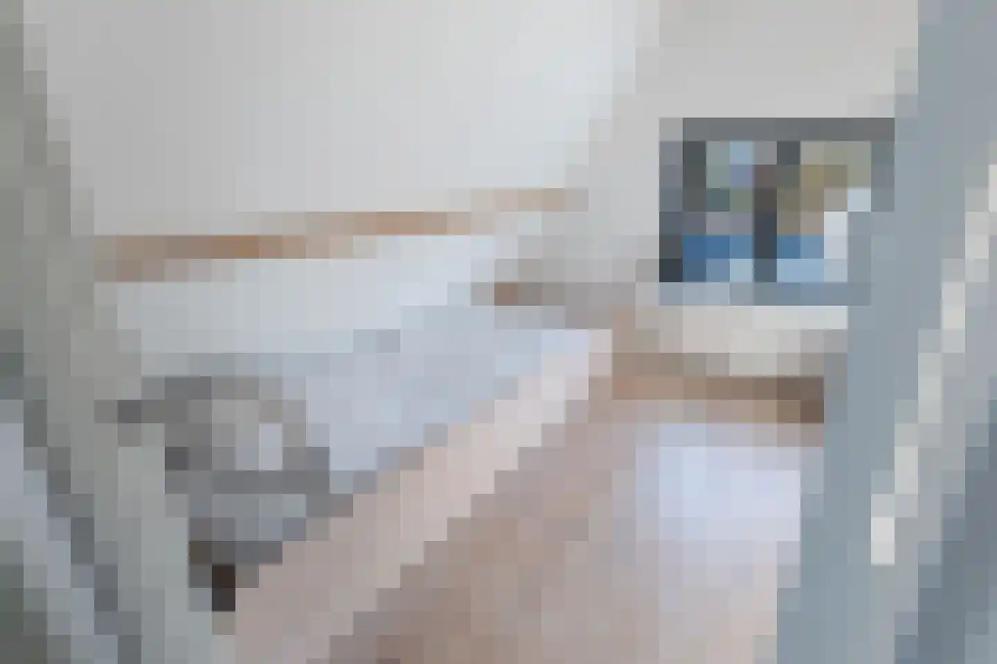 Burg.Backxlaan 323 Nieuwleusen thumbnail 59