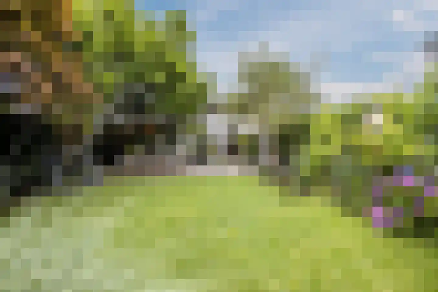 Burg.Backxlaan 323 Nieuwleusen thumbnail 6