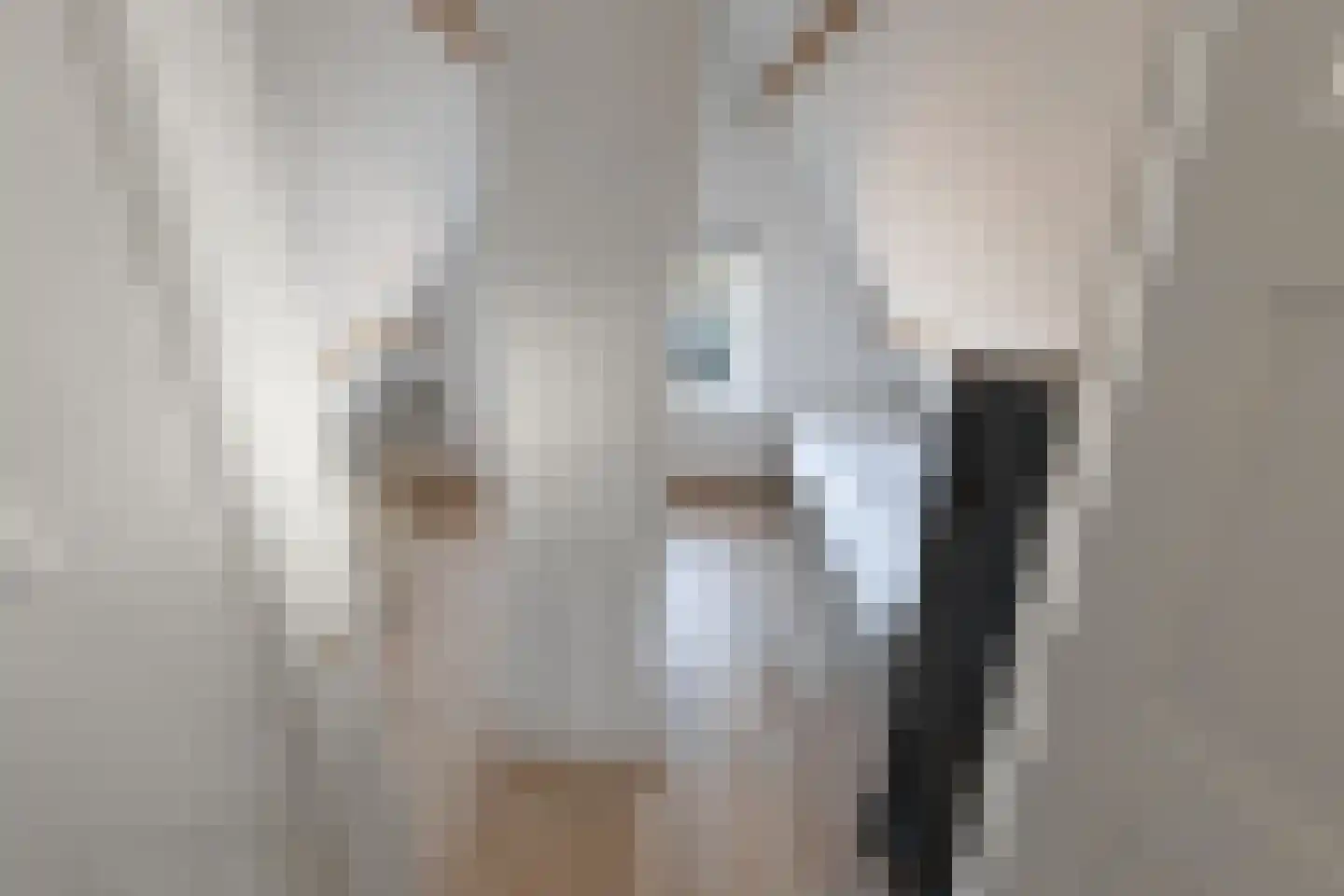 Burg.Backxlaan 323 Nieuwleusen thumbnail 60