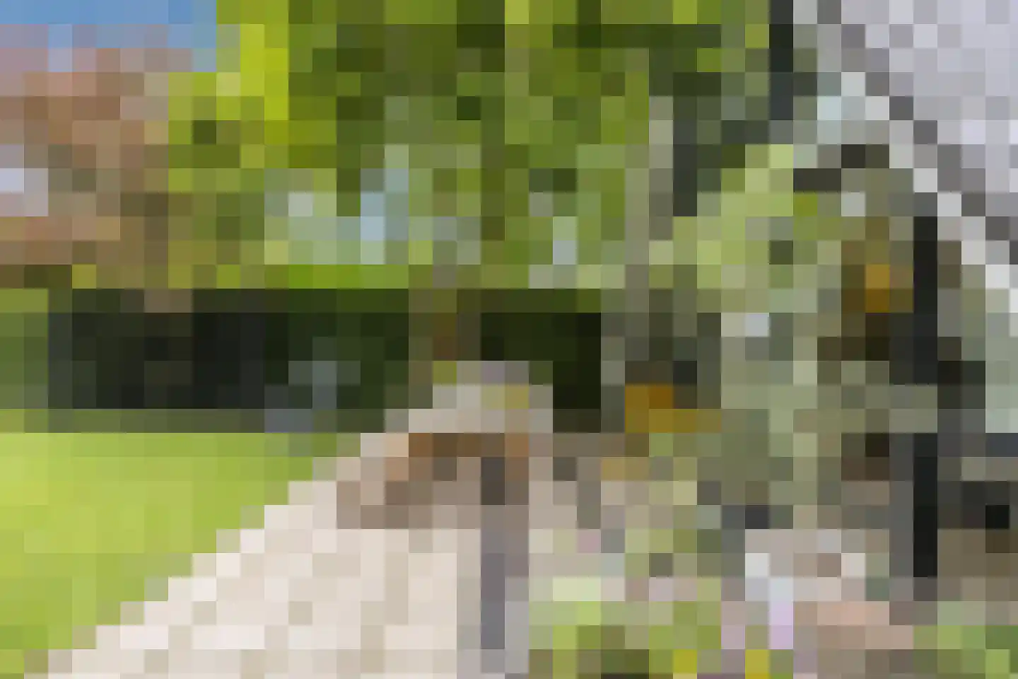 Burg.Backxlaan 323 Nieuwleusen thumbnail 62
