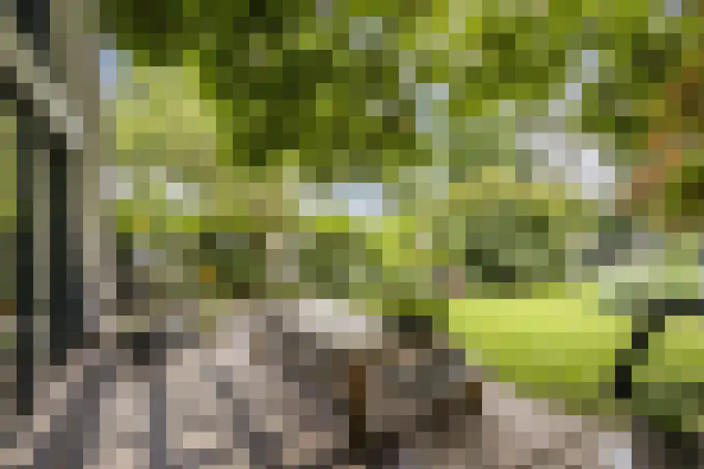 Burg.Backxlaan 323 Nieuwleusen thumbnail 63