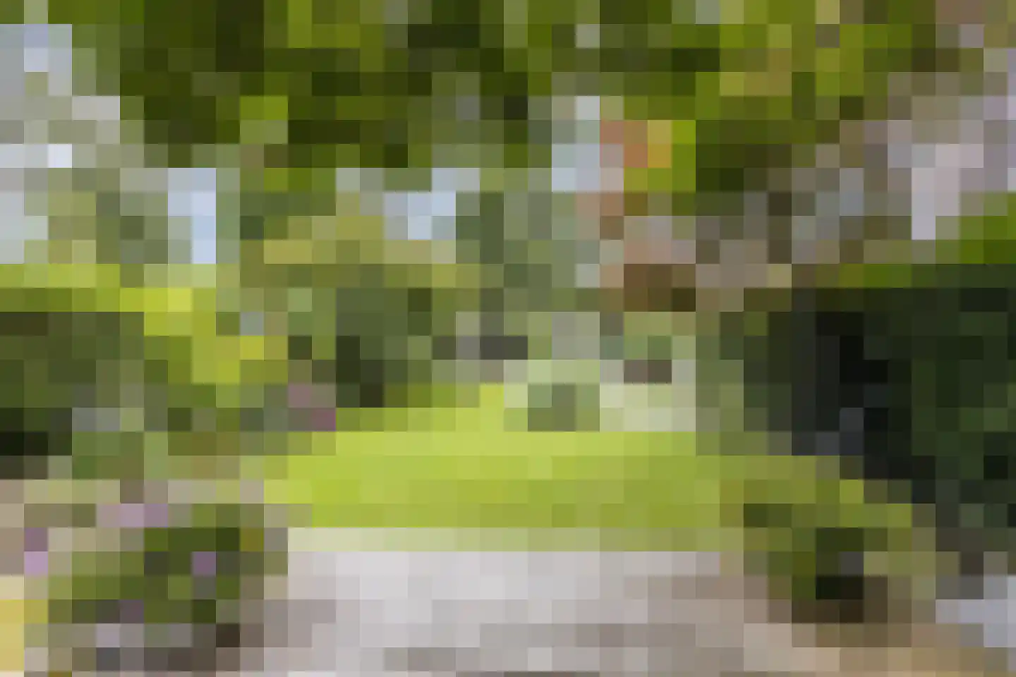 Burg.Backxlaan 323 Nieuwleusen thumbnail 64