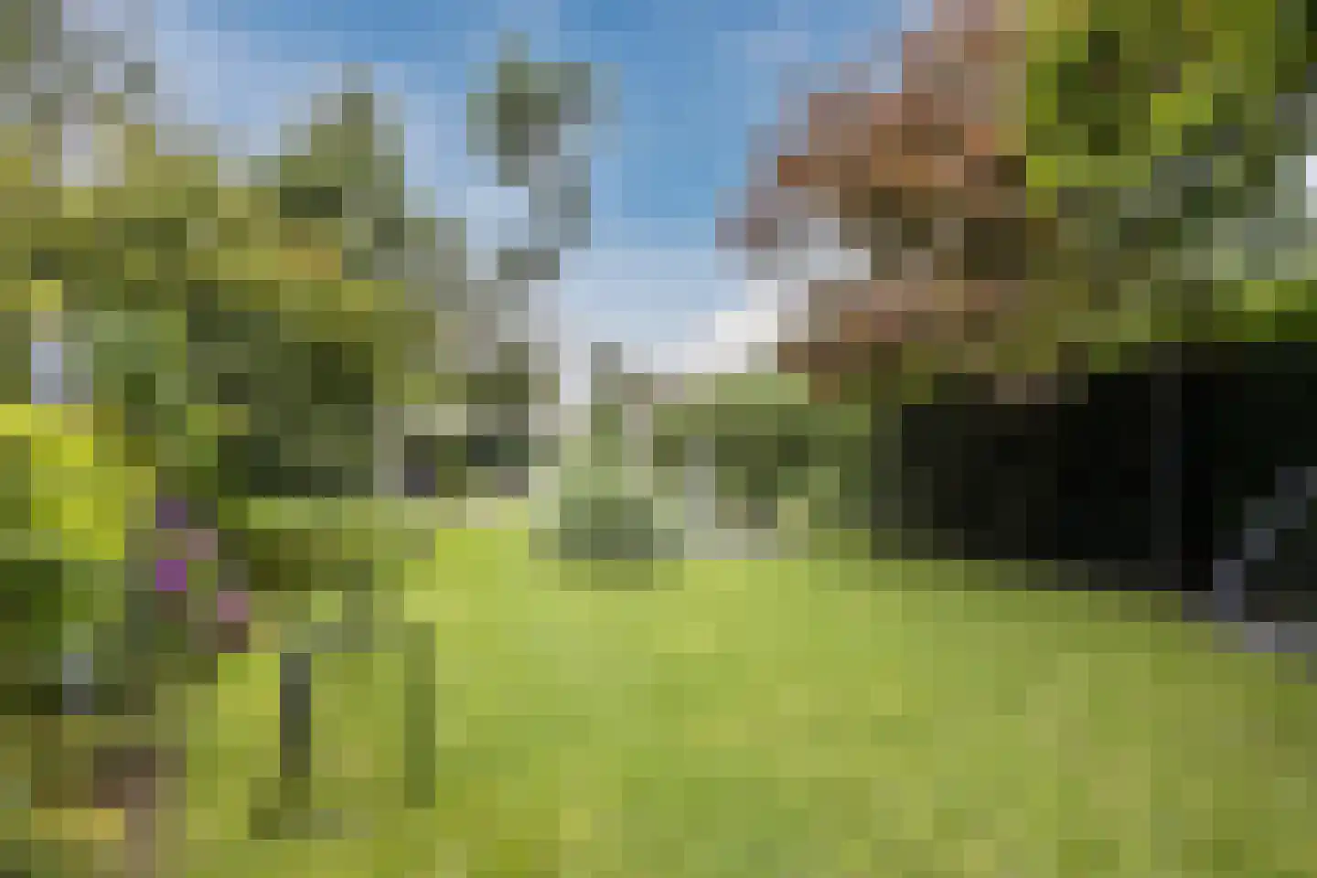 Burg.Backxlaan 323 Nieuwleusen thumbnail 65