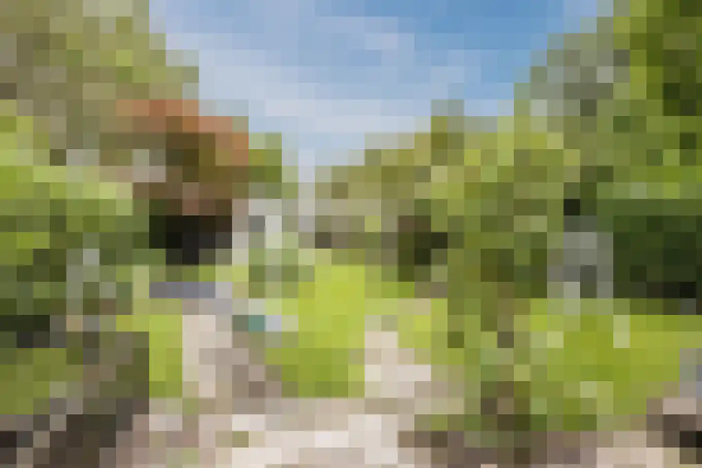 Burg.Backxlaan 323 Nieuwleusen thumbnail 66