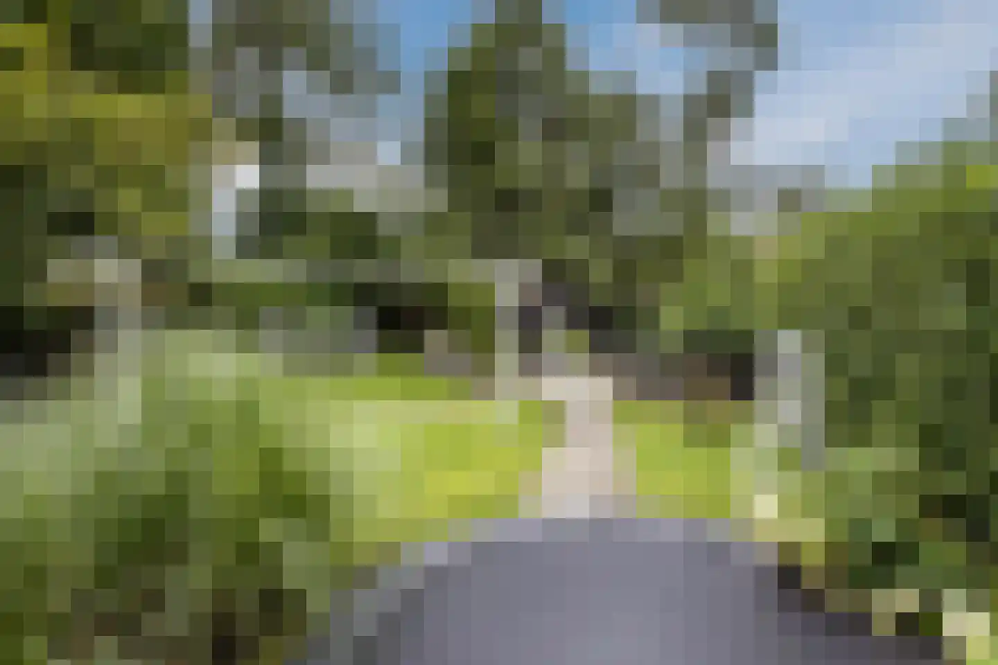 Burg.Backxlaan 323 Nieuwleusen thumbnail 67